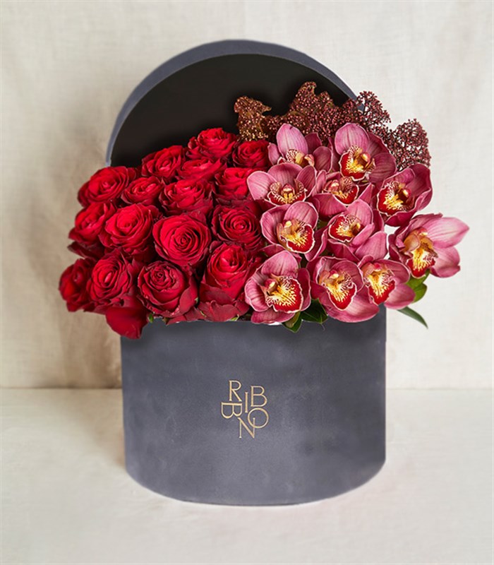 Sonya Gri Grand Kutu Kırmızı Gül Bordo Cymbidium Orkide