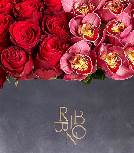 Sonya Gri Grand Kutu Kırmızı Gül Bordo Cymbidium Orkide