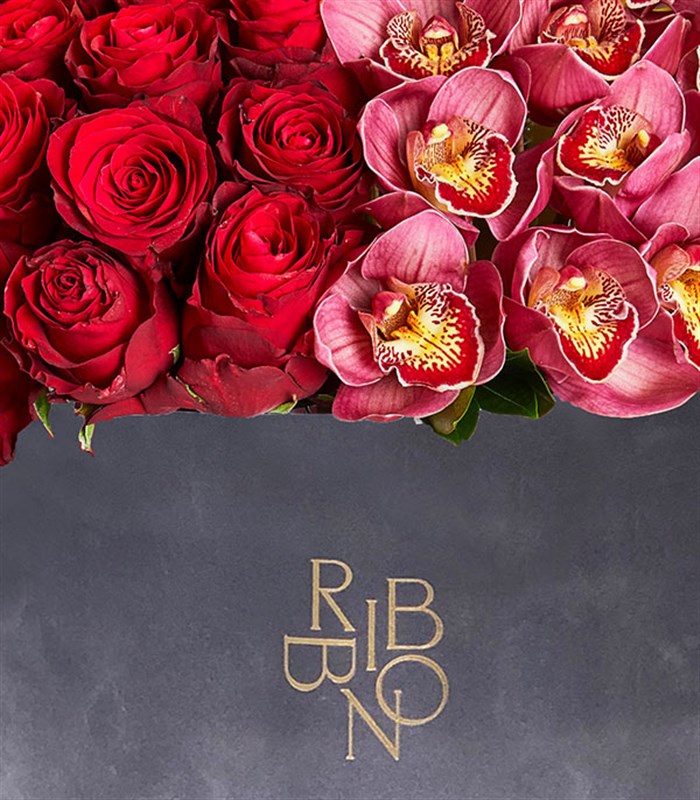 Sonya Gri Grand Kutu Kırmızı Gül Bordo Cymbidium Orkide