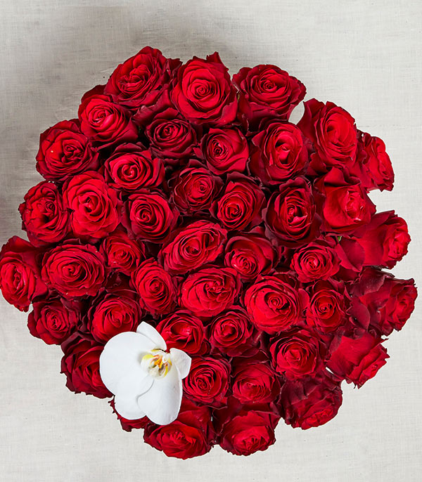 Jade Krem Grand Kutuda 50 Kırmızı Güller