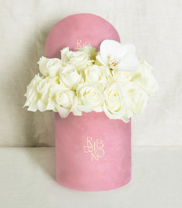 Lona 20 White Roses in Box Pink Deluxe