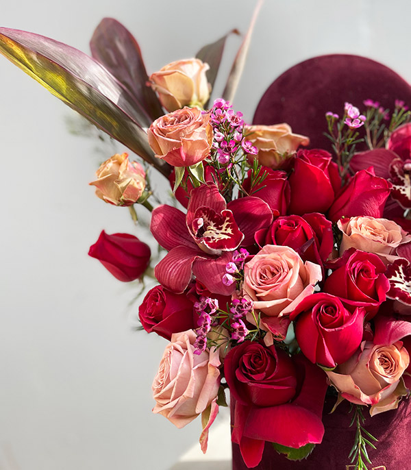 Viva Magenta Burgendy Flower in Box Valentine's Day Gift