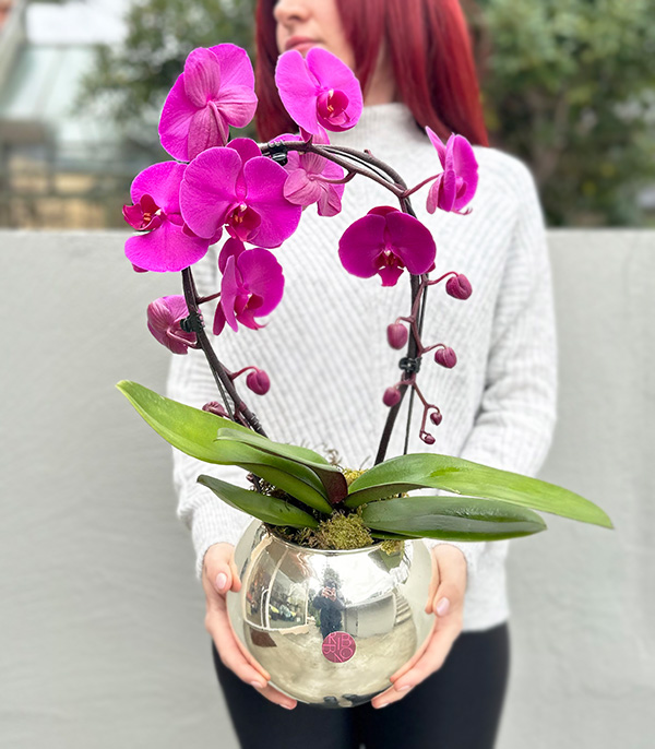 Silver Deluxe Vase Crown Orchid Fuchsia