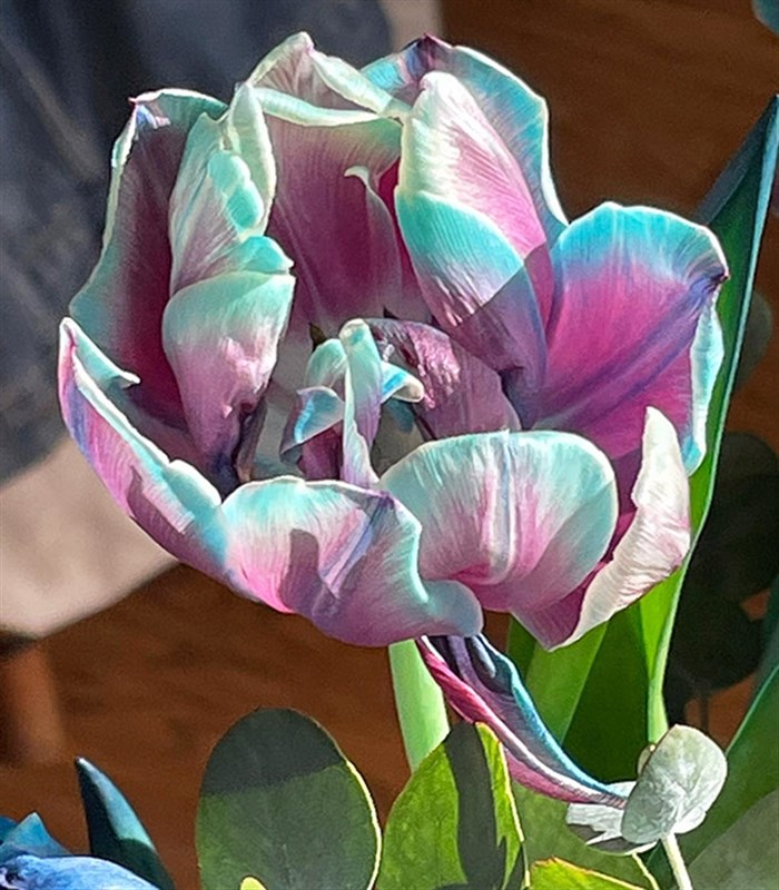 Valerienin Galaksi Lale Buketi | Kendine Çiçek Alanlar Klubü