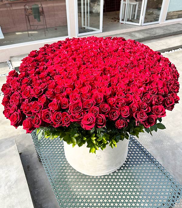 365 Red Roses The Year of Our Love Royal Deluxe