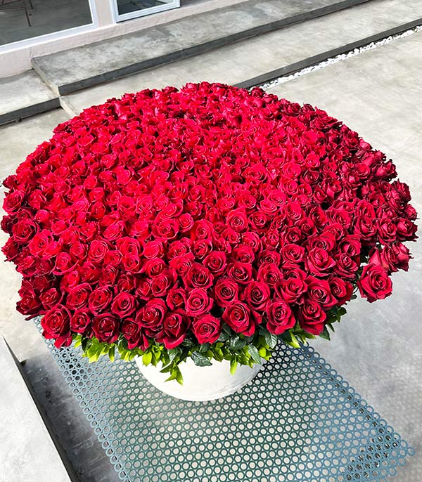 365 Red Roses The Year of Our Love Royal Deluxe