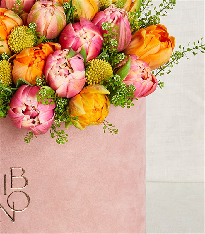 Pembe Kutuda Turuncu Pembe 20 Laleler