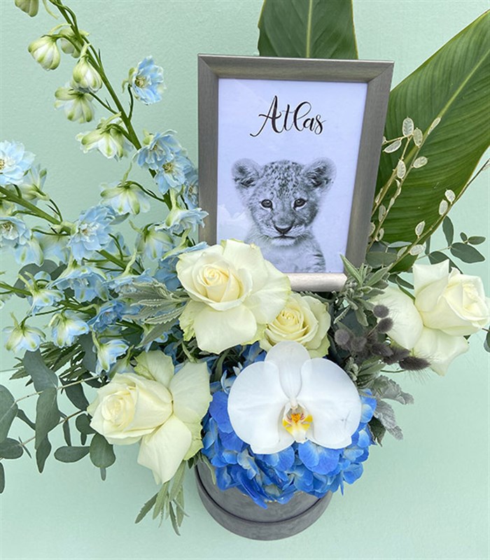 Bebek İsmine Özel Çerçeveli Gri Erkek Bebek Tebrik Aranjmanı