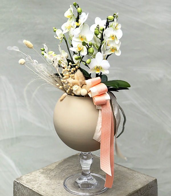 Marina Abramovic Deluxe Vazoda Beyaz Bellisimo Orkide