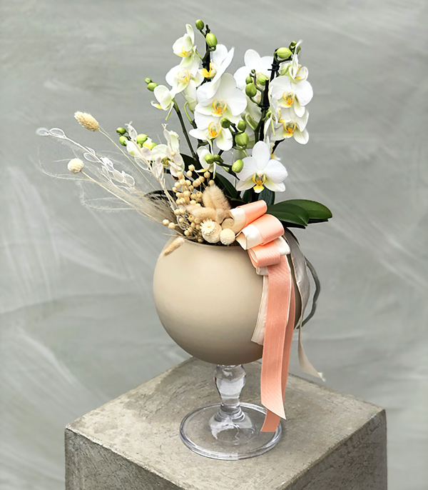 Marina Abramovic Deluxe Vazoda Beyaz Bellisimo Orkide