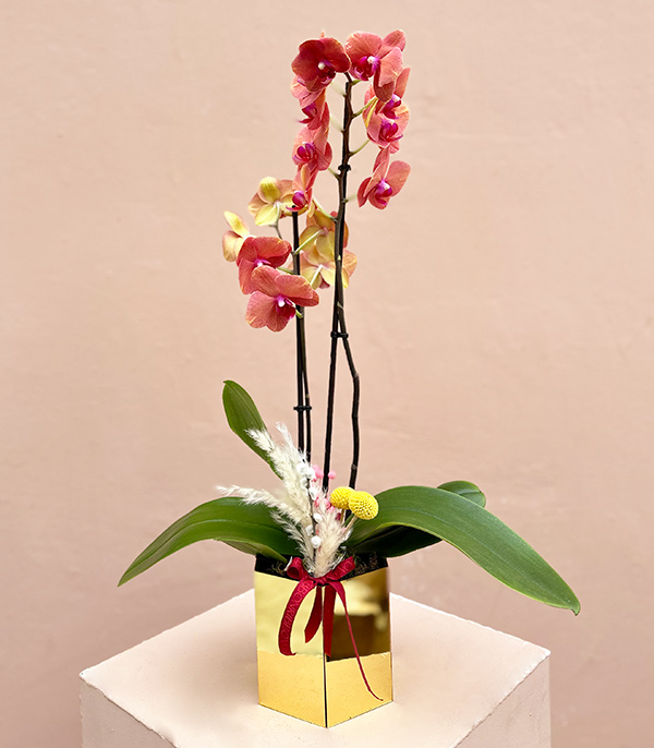 Luxe Gold Hexagonal Vase Orchid Coral