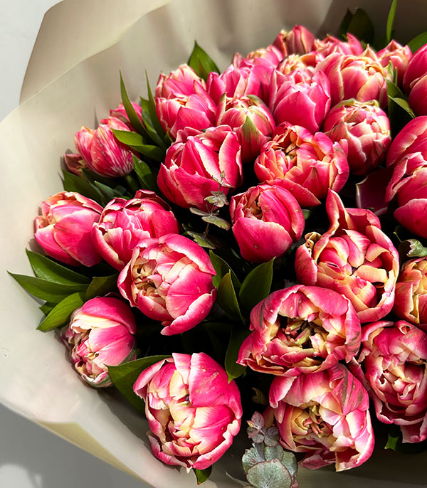 Berry Grand Deluxe 41 Pink Tulips Bouquet