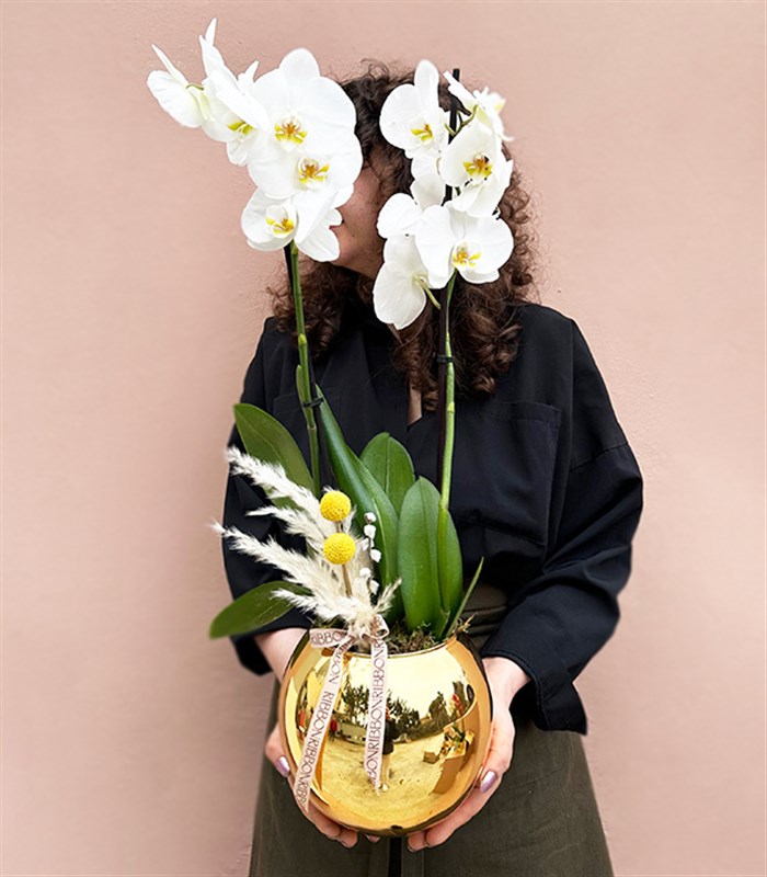 Luxe Gold Vazoda Orkide Beyaz 2 Dallı