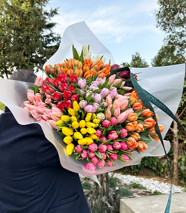250 Colorful Tulip Garden Bouquet Royal Deluxe