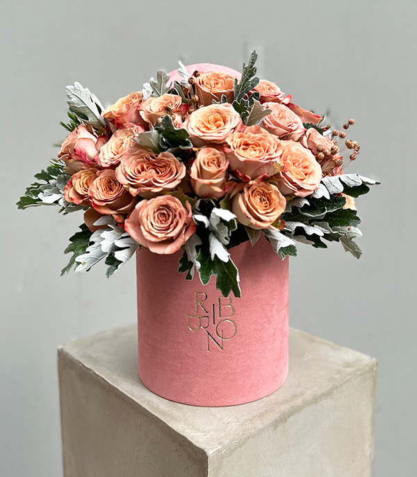 Daniela Cappucino Rose Deluxe Flower in Box