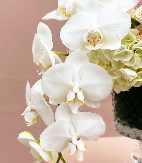 Kristal Vazoda Pembe Beyaz Çiçekler Aranjmanı