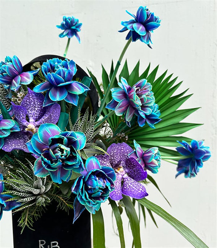 Deep Galaksi Siyah Kadife Kutu 30 Galaksi Lale Aranjmanı