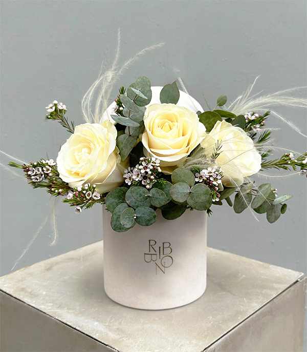 Cotton Beyaz Gül Mini Kutu Çiçek