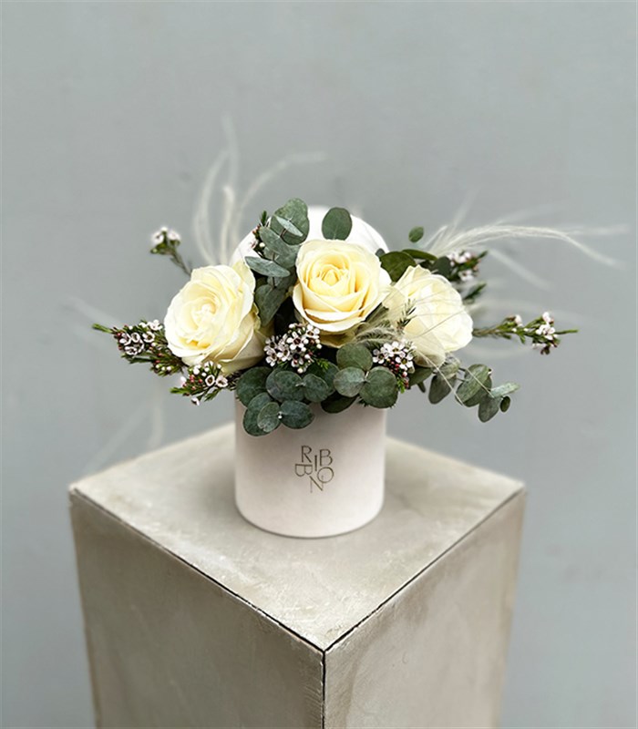 Cotton Beyaz Gül Mini Kutu Çiçek