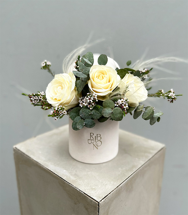 Cotton Beyaz Gül Mini Kutu Çiçek