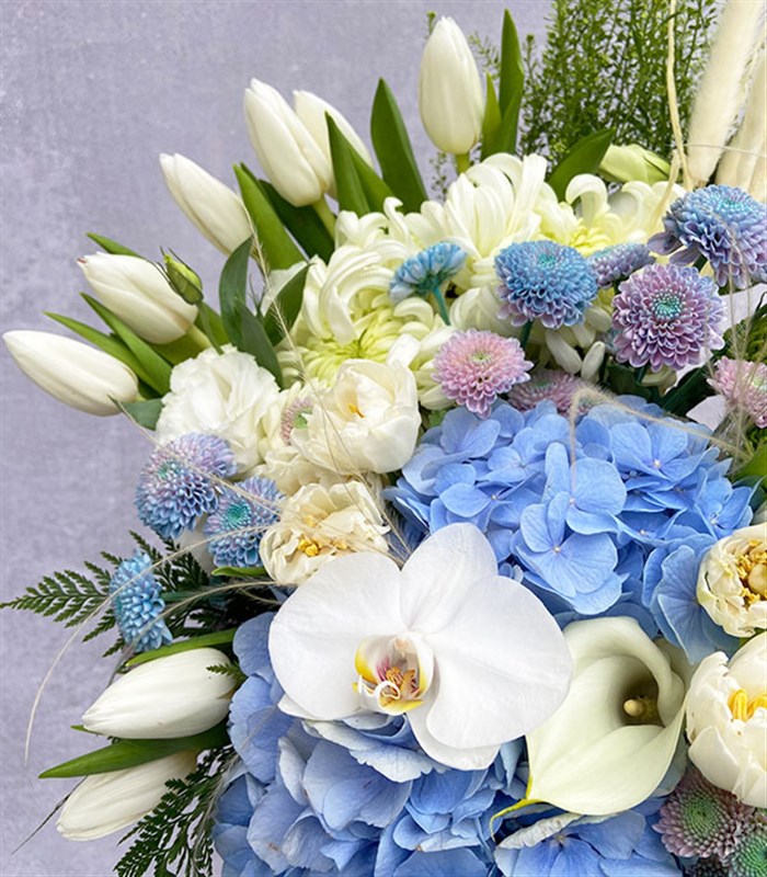 Edward Füme Grand Kutuda Beyaz Lale Gala Lale Mavi Ortanca Çiçekler