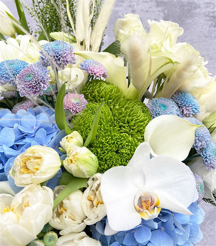Edward Füme Grand Kutuda Beyaz Lale Gala Lale Mavi Ortanca Çiçekler