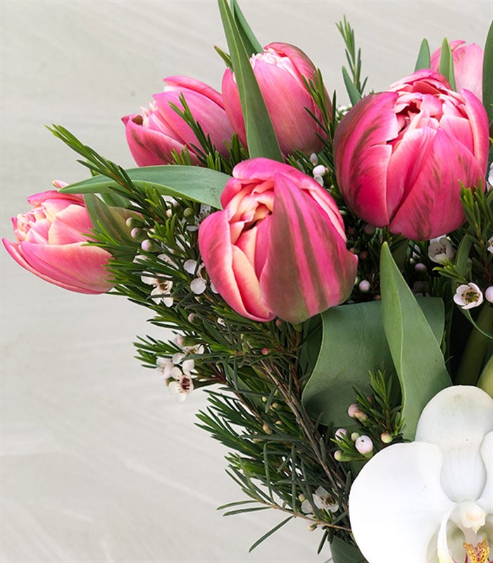 Vazoda Pembe Laleler ve Orkide