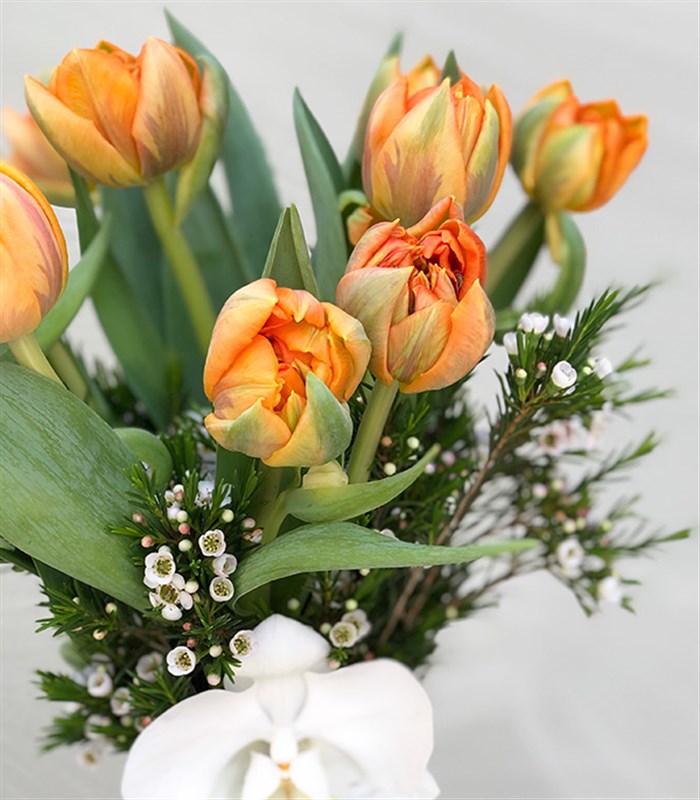 Vazoda Turuncu Laleler ve Orkide