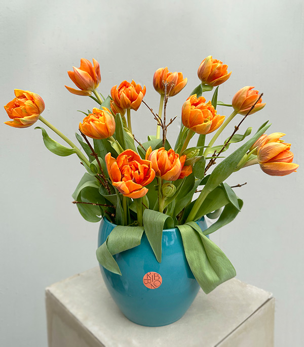 Orange Tulips in Blue Porcelain Vase