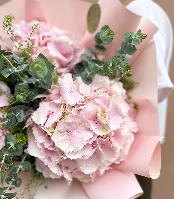 Marsilio Pink Hydrangea Bouquet