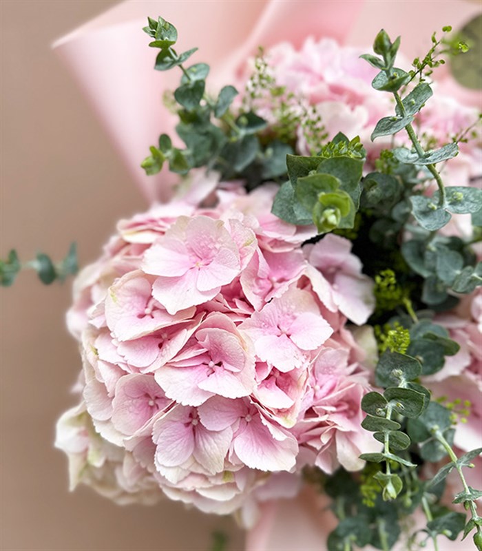 Marsilio Pembe Ortanca Buketi