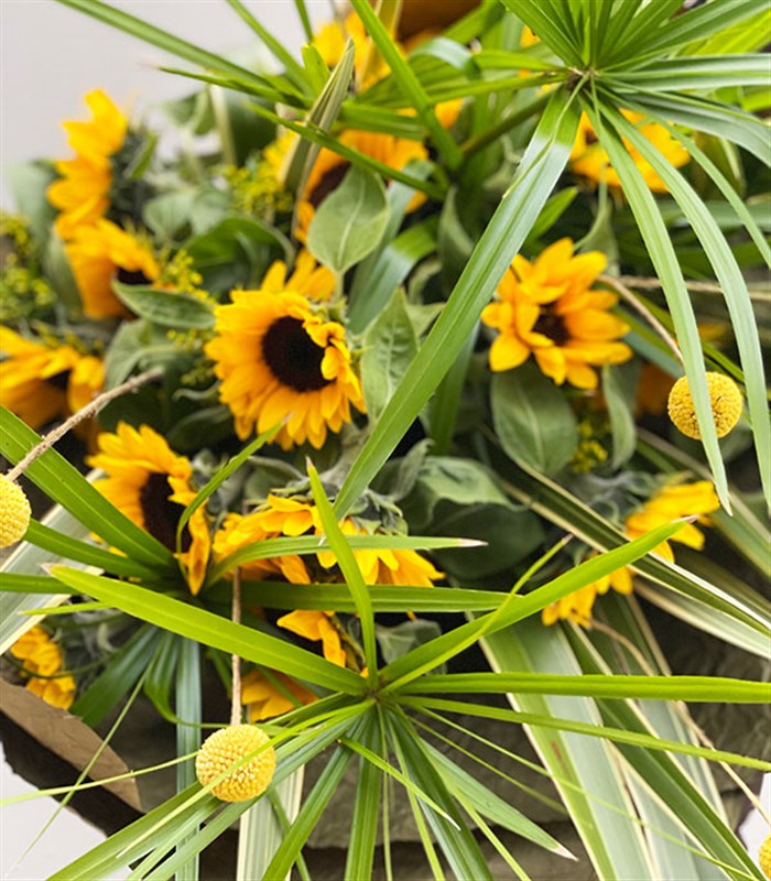 Bir Kucak Sarı Ayçiçeği Deluxe Buketi