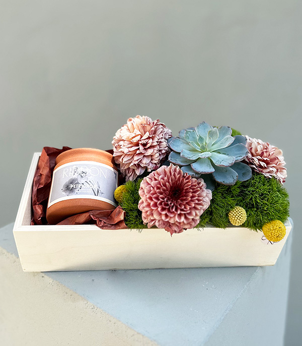 Daddy Cool Candle Succulent Wooden Gift Box