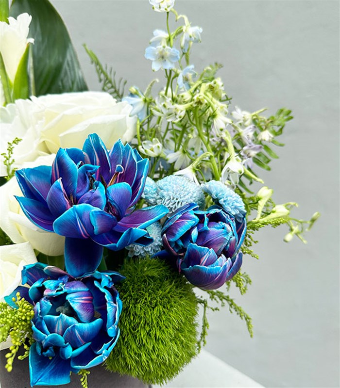 Mini Beyaz Mavi Galaksi Laleli Kutu Çiçek