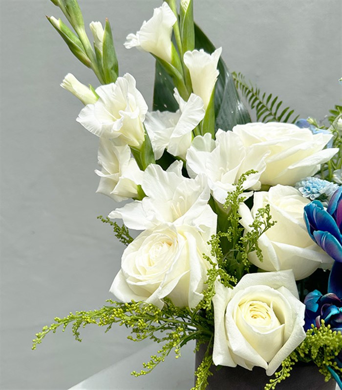 Mini Beyaz Mavi Galaksi Laleli Kutu Çiçek