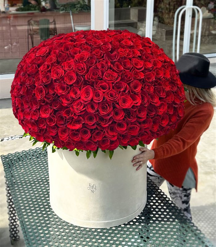 500 Kırmızı Gül Empire Deluxe Kutu Aranjman