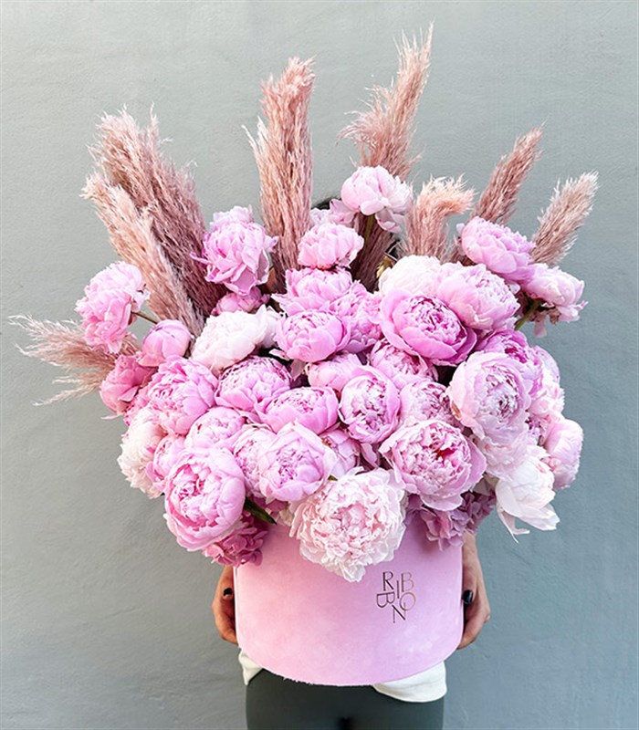 Grand Kutuda 50 Şakayık Pembe