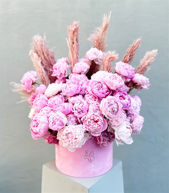 Grand Kutuda 50 Şakayık Pembe