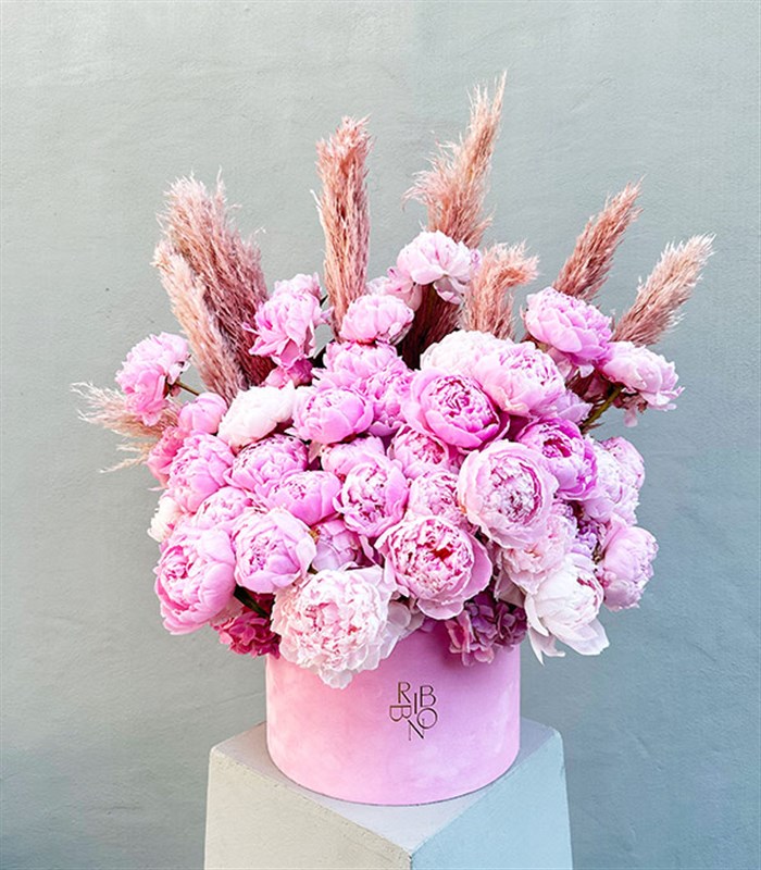 Grand Kutuda 50 Şakayık Pembe