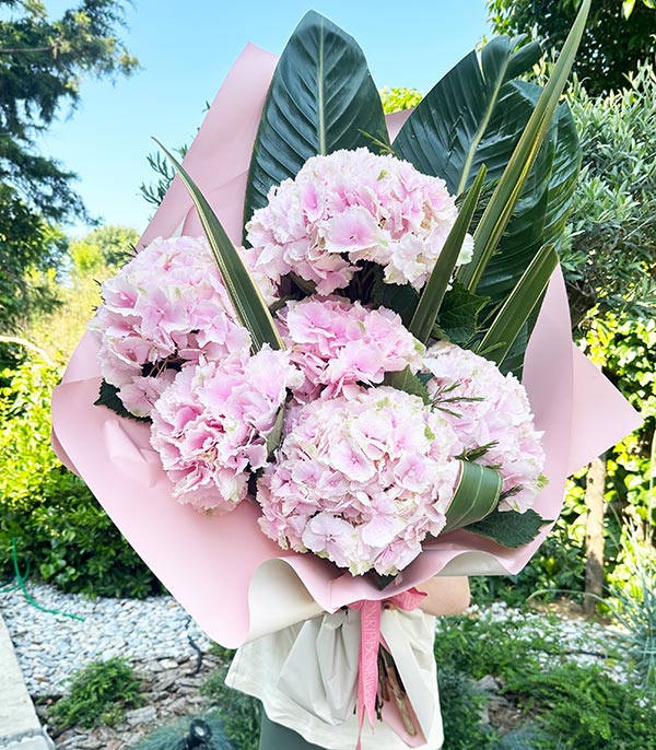 Deluxe Marsilio Pink Hydrangea Bouquet