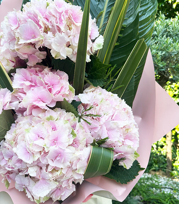Deluxe Marsilio Pink Hydrangea Bouquet