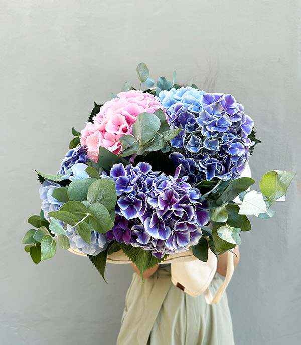 Pink Blue Hydrangea Bouquet in a Deluxe Canvas Bag
