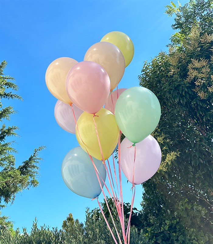 12Li Uçan Pastel Balon Seti