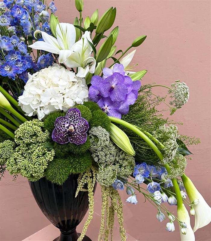 Grand Deluxe Siyah Vazoda Mavi Delfinyum Beyaz Ortanca Gala Aranjman