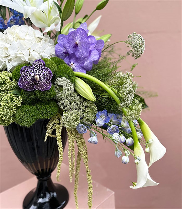 Grand Deluxe Siyah Vazoda Mavi Delfinyum Beyaz Ortanca Gala Aranjman