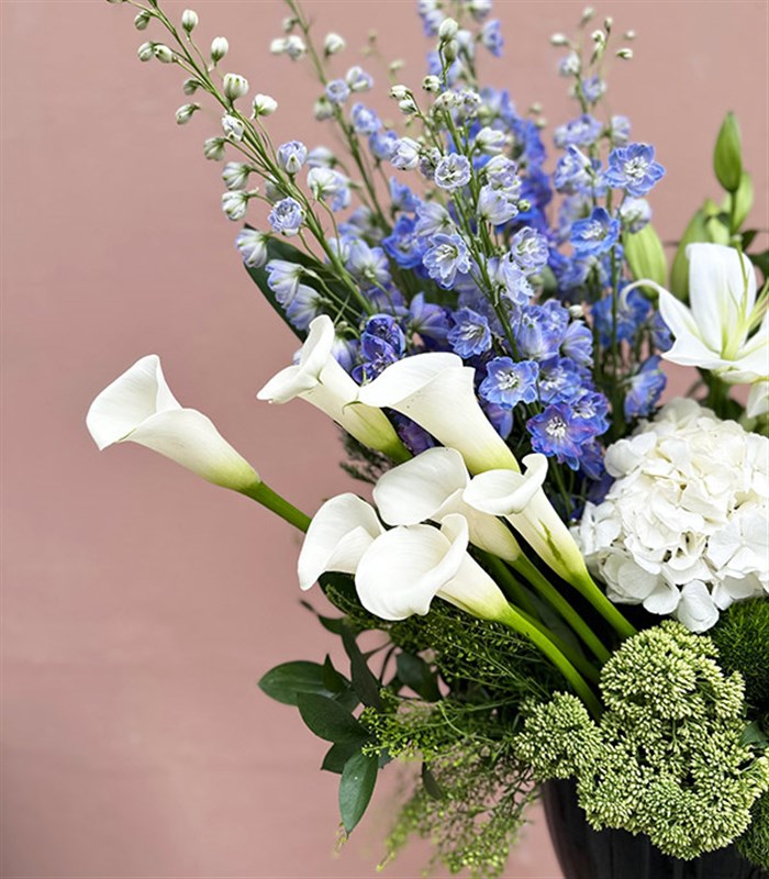 Grand Deluxe Siyah Vazoda Mavi Delfinyum Beyaz Ortanca Gala Aranjman