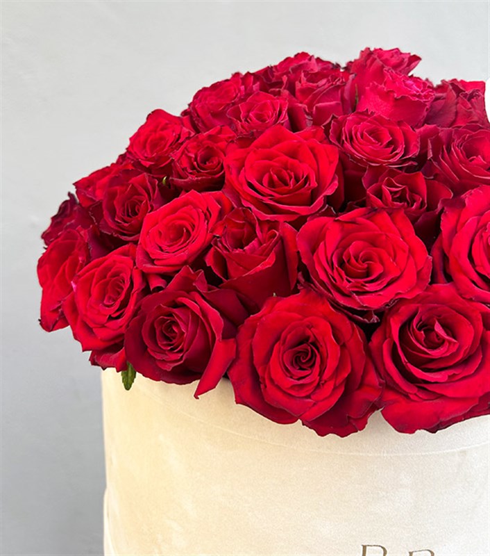 Jade Krem Grand Kutuda 50 Kırmızı Güller