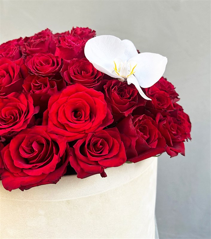 Jade Krem Grand Kutuda 50 Kırmızı Güller