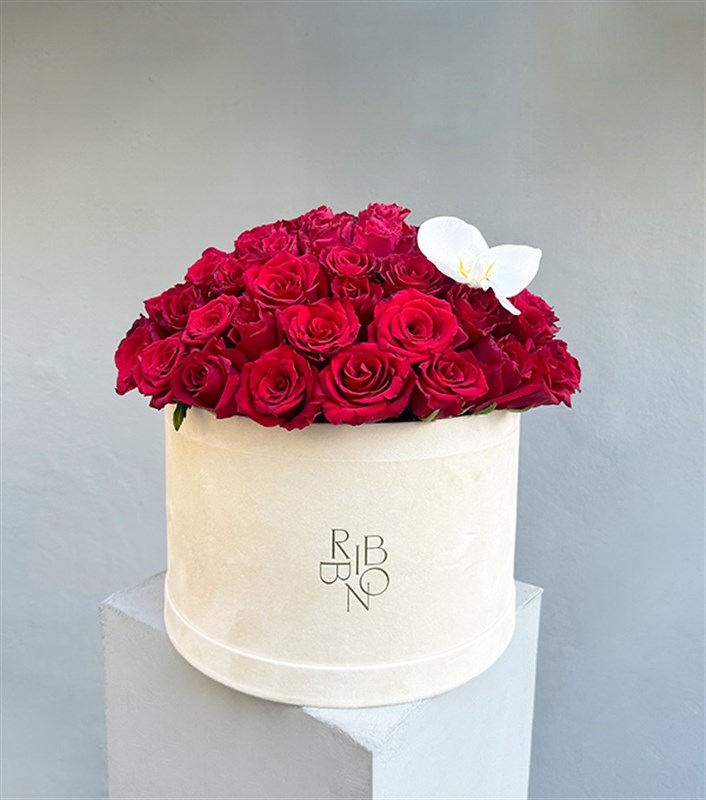 Jade Krem Grand Kutuda 50 Kırmızı Güller