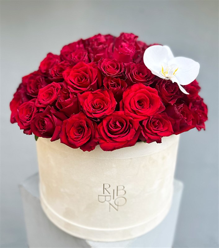 Jade Krem Grand Kutuda 50 Kırmızı Güller